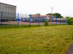 Commercial Cut and Drop Mowing