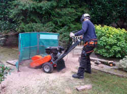 Stump Grinding Service