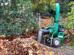 Leaf Clearing Service