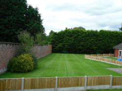 Open Space Lawn Mowing