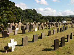 Open Space Strimming