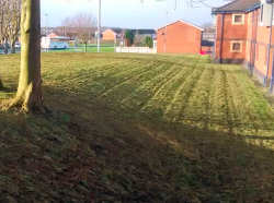 Commercial Grounds Mowing