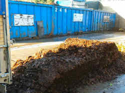 Leaf Removal Service