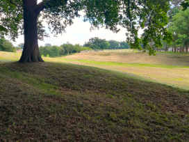 Large Open Area Mowing Service