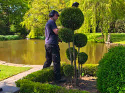 Estates and Private Gardens Shrub Trimming