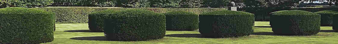 Hedge Trimming Divider