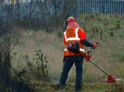 Brushcutting Service