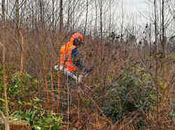 Woodland Clearance Saw
