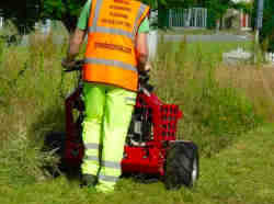 Flail Mowing