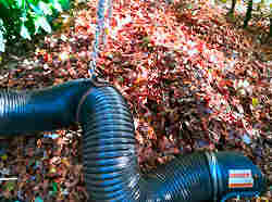 Leaf Collection and Removal