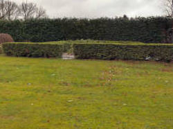 Hedge Reduction Services