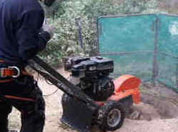 Tree Stump Grinding